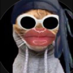 Meet your Posher, Daylin